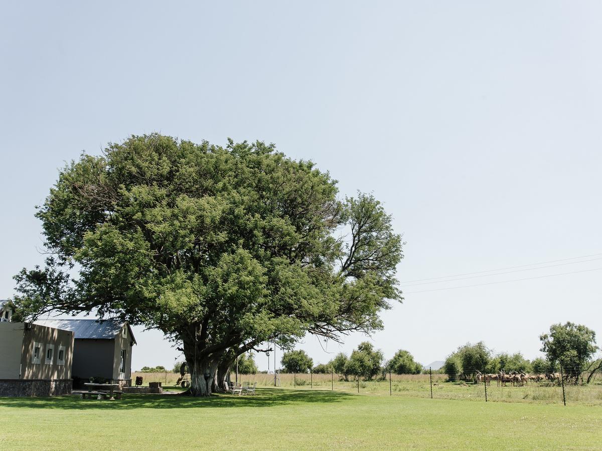 Buffalo Thorn Tree Lodge Swartruggens Exteriér fotografie